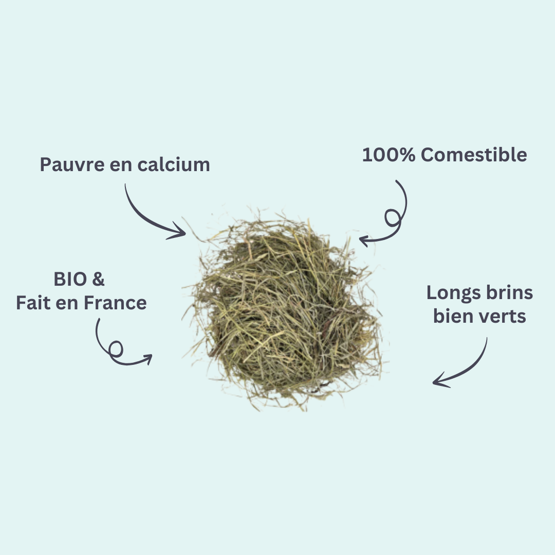 Tous les foins pour lapin et cochon d'Inde – hop-box.fr