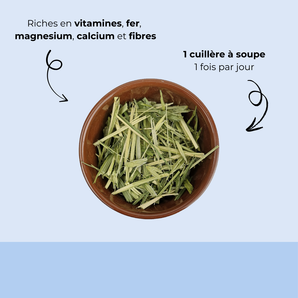 Avoine verte séchée