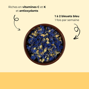 Bleuet bleu séché
