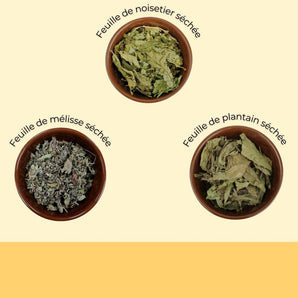Box Feuilles Bien-Être 300g 🍃🥜