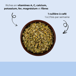 Camomille séchée