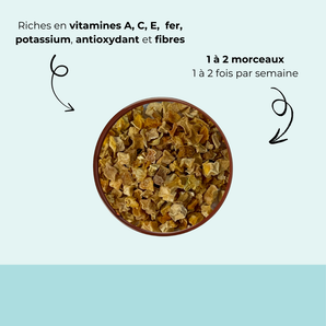 Citrouille séchée