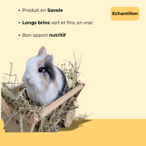 Echantillon - Foin de montagne