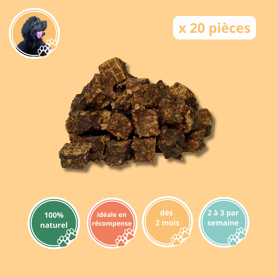 Cubes de saumon (20 pièces) - Chien