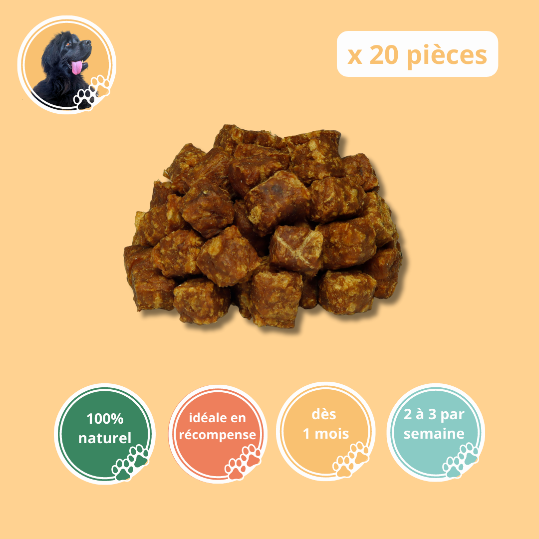 Cubes de dinde (20 pièces) - Chien