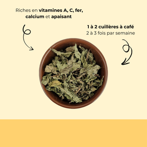 Feuille de menthe séchée