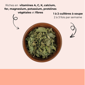 Feuille d'ortie séchée