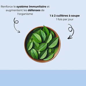 Feuilles de cerisiers séchées