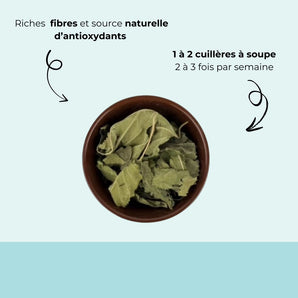 Feuille de mûrier séchée