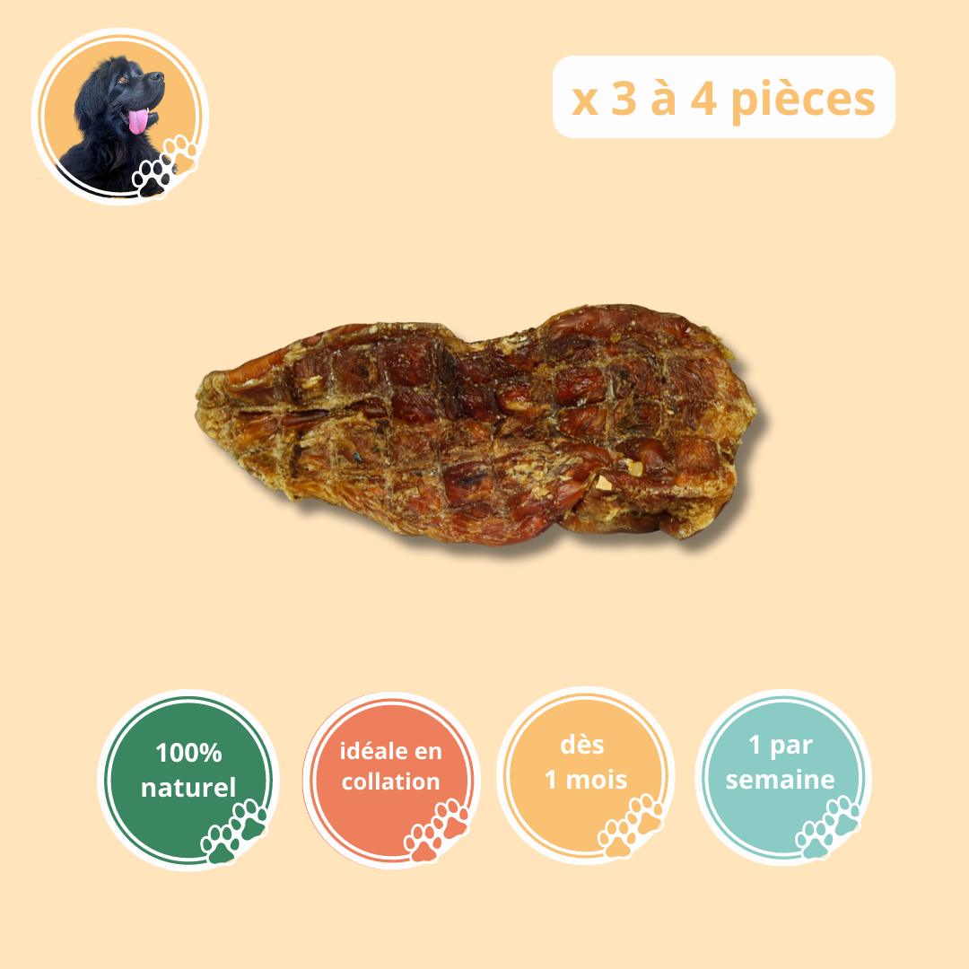 Filets de poulet (3 à 4 pièces) - Chien