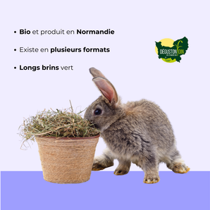 Foin de Normandie Bio