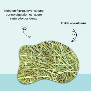 Foin de Fléole en vrac