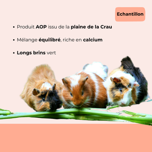 Echantillon - Foin de Crau AOP