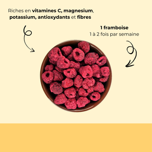 Framboise séchée