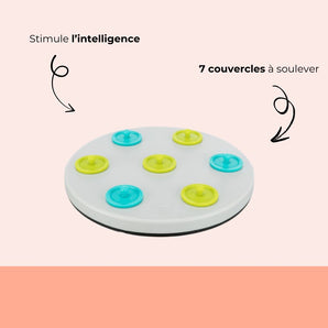 Jeu d’intelligence