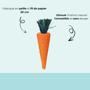 NOUVEAU - Carotte en paille à grignoter