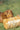 Balle de foin citrouille et carotte, Ø 10 cm et 18 cm de long