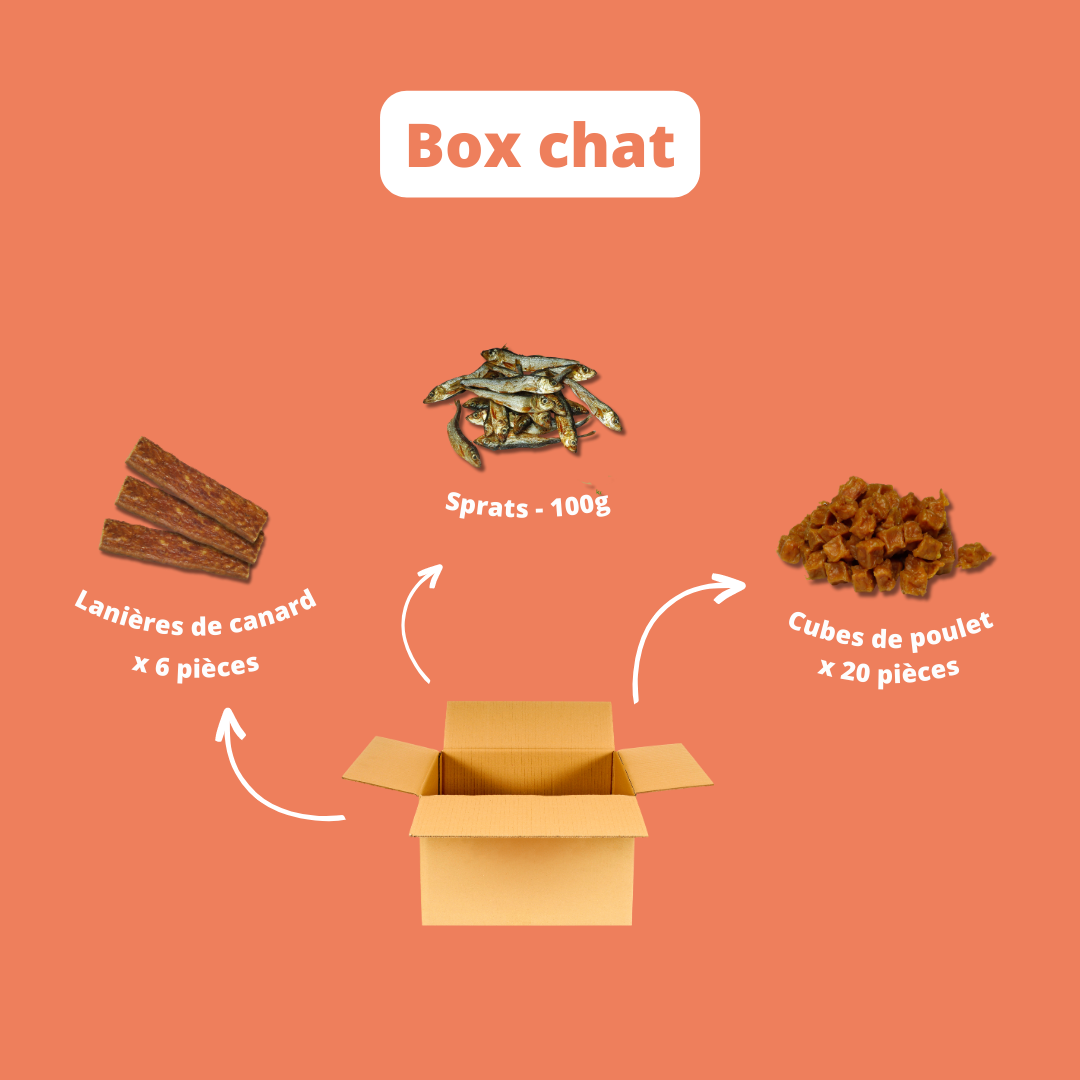 Box chat