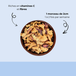 Pomme séchée
