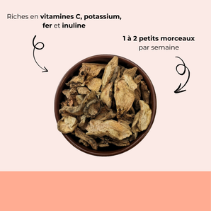 Topinambour séché