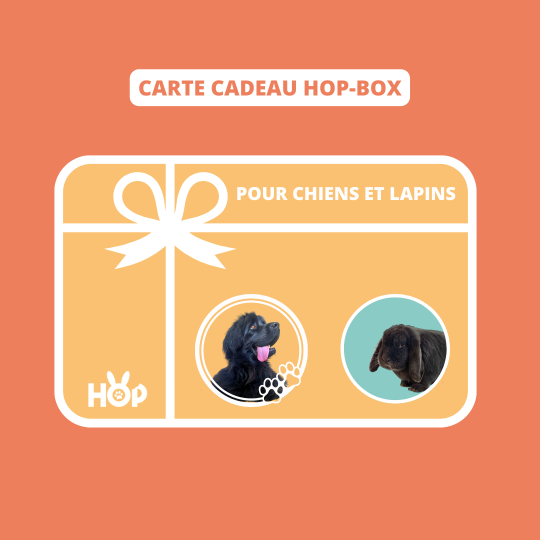 Carte cadeau