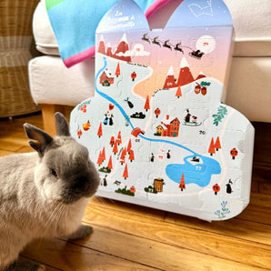 Calendrier de l’Avent - La Hopbox à CarotteVille