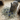 Lapin qui fouille le foin pour trouver les fleurs de bleuet éparpillées
