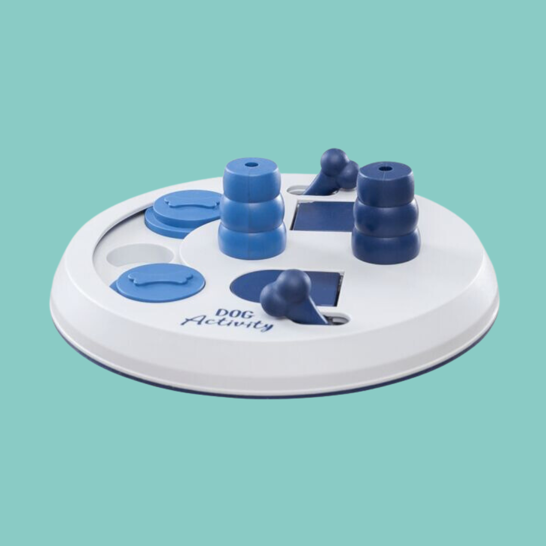 Flip board niveau 2 bleu