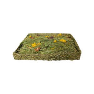 Tapis à creuser au pissenlit - hop-box.fr